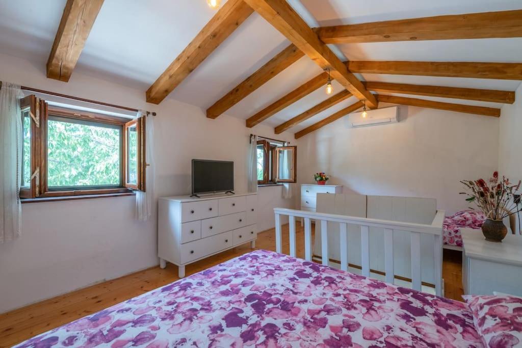 Piccola Casa - A Little Paradise Kršan 外观 照片